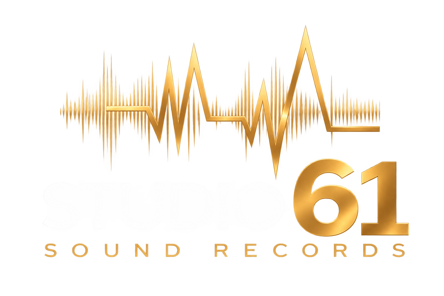 studio61